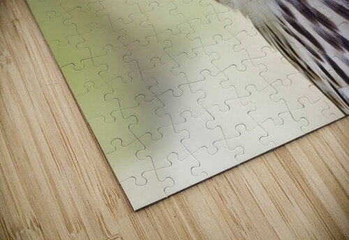 Coopers Hawk Ilana Vargulich puzzle