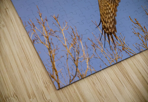 GGO 34 Ilana Vargulich puzzle