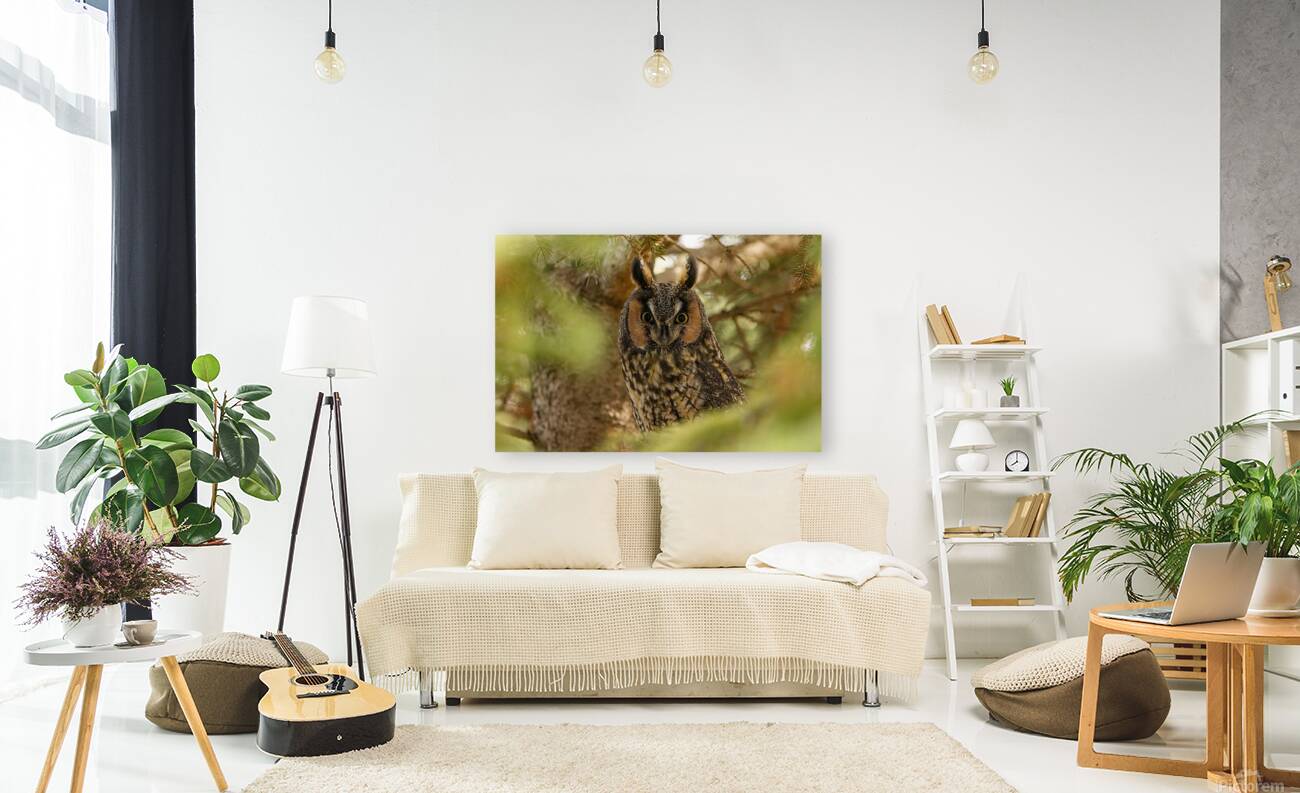 LEO Portrait Reproduction