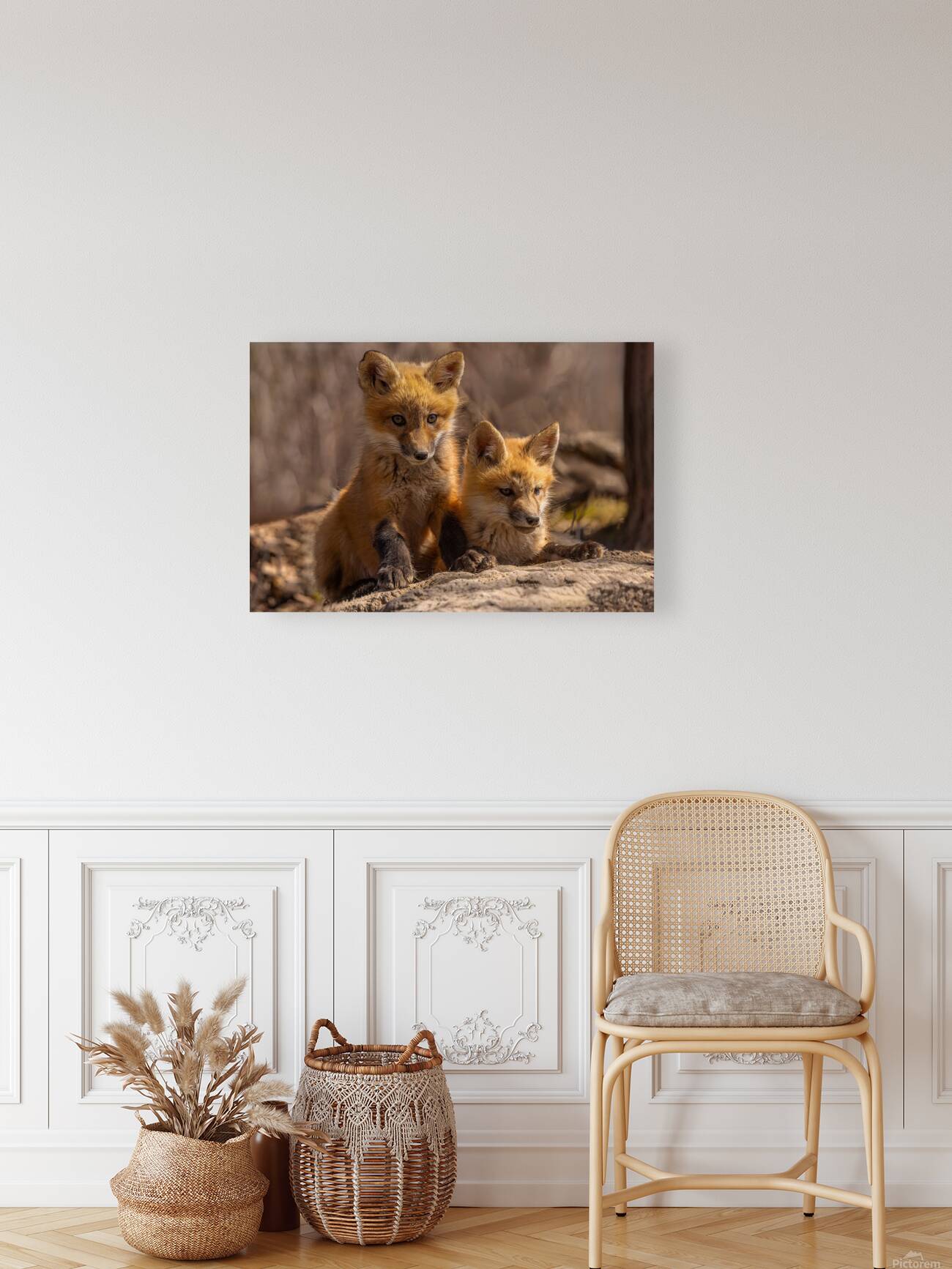 Red Fox Kits Reproduction