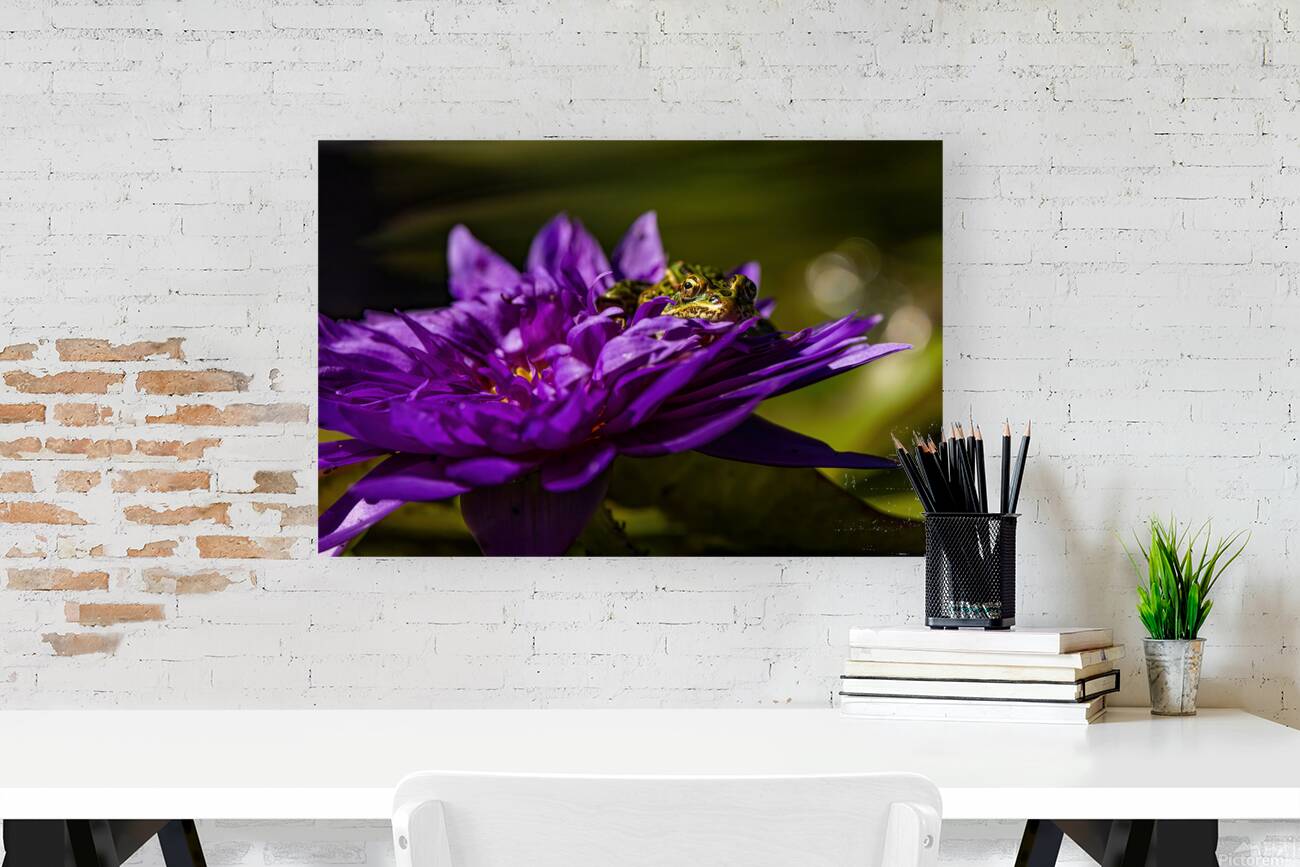 Flower Story 2 Reproduction