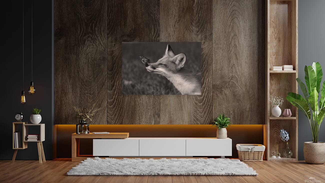 Red Fox with Butterfly BW Reproduction