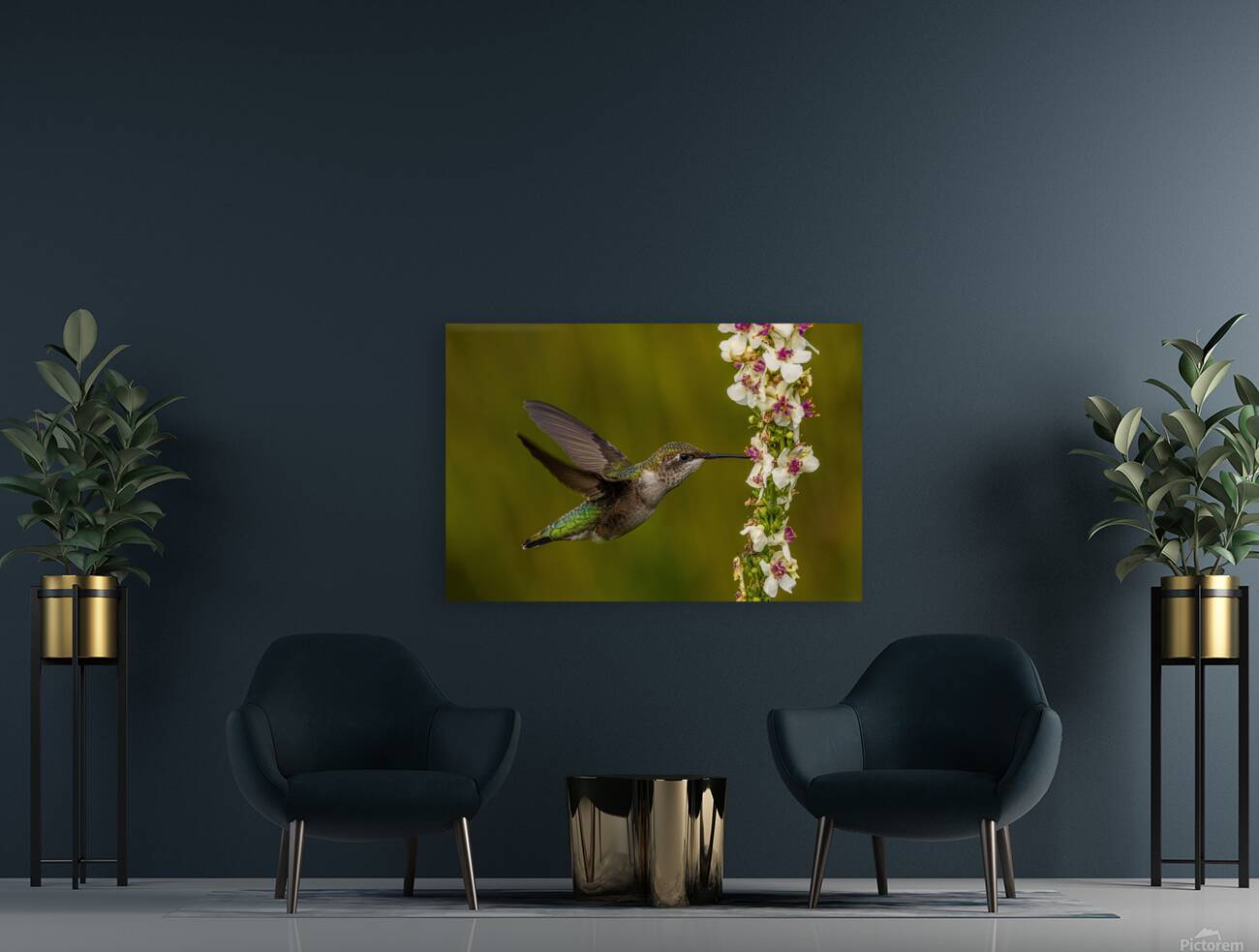 Hummingbird Reproduction