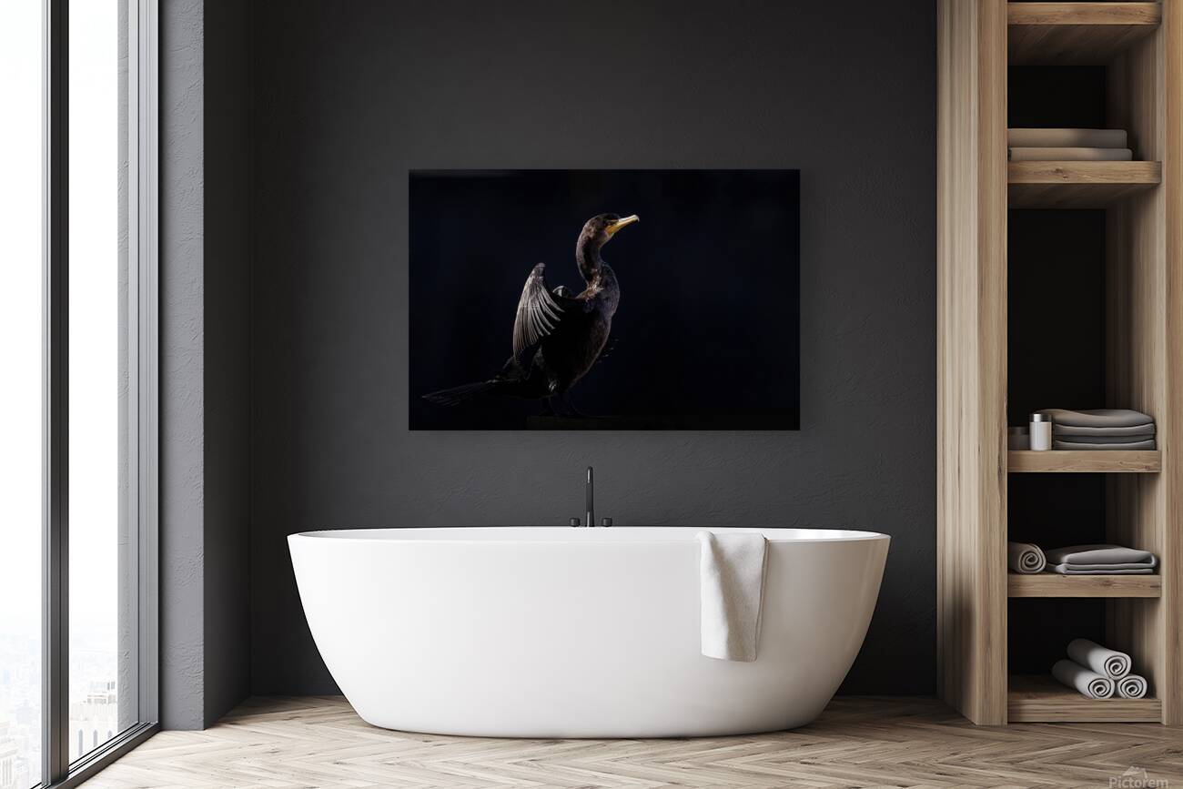 Cormorant Elegant Reproduction