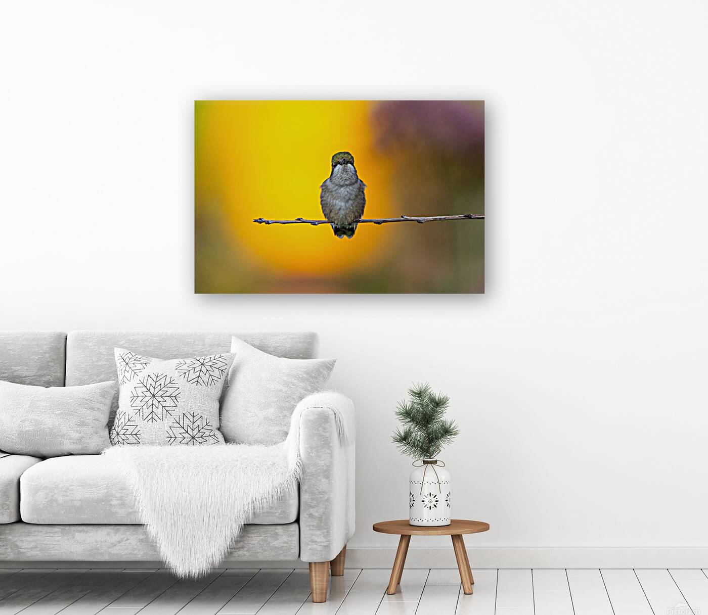 Hummingbird 4 Reproduction