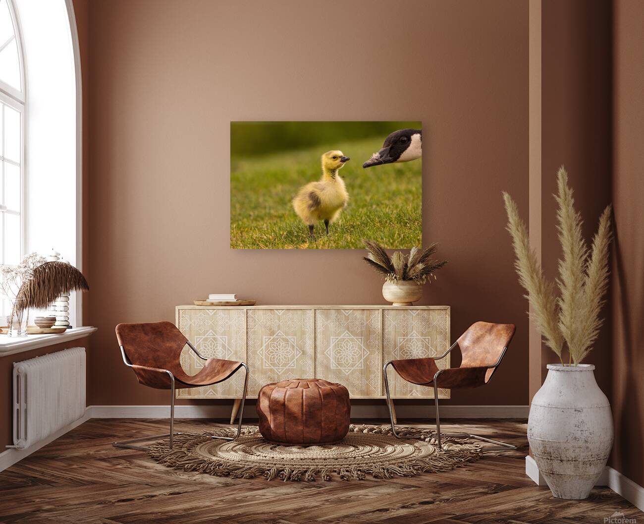 Gosling Story Reproduction