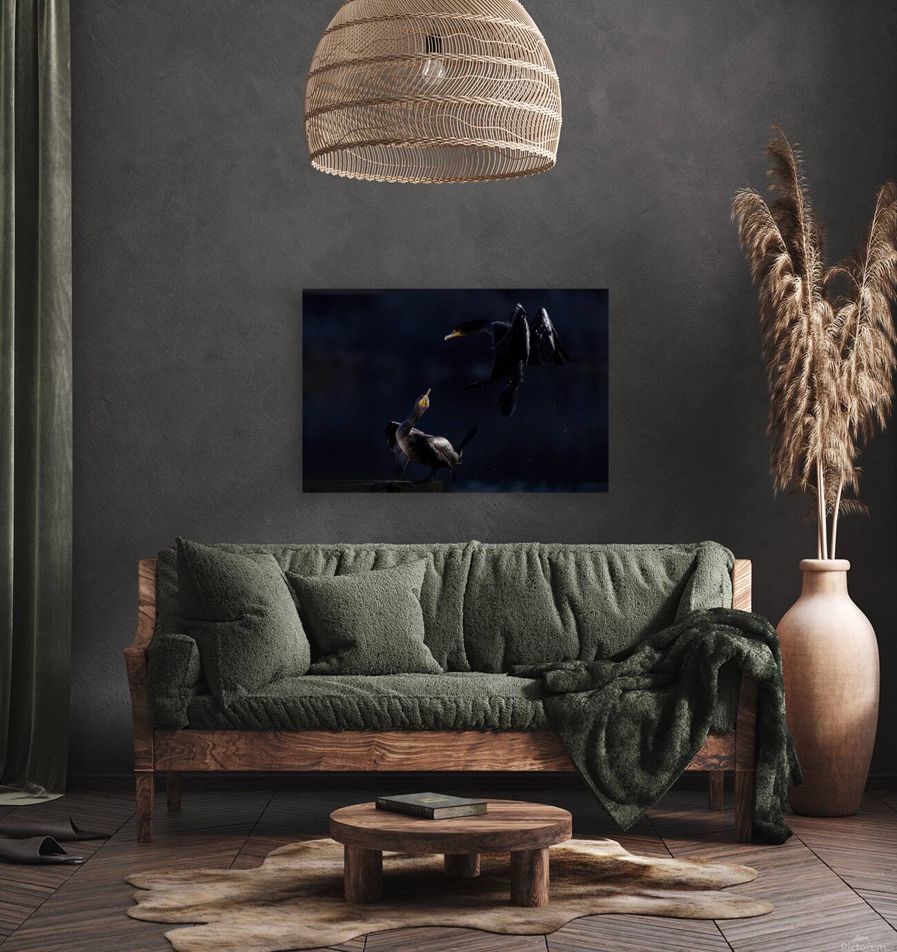 Double Cormorant Reproduction