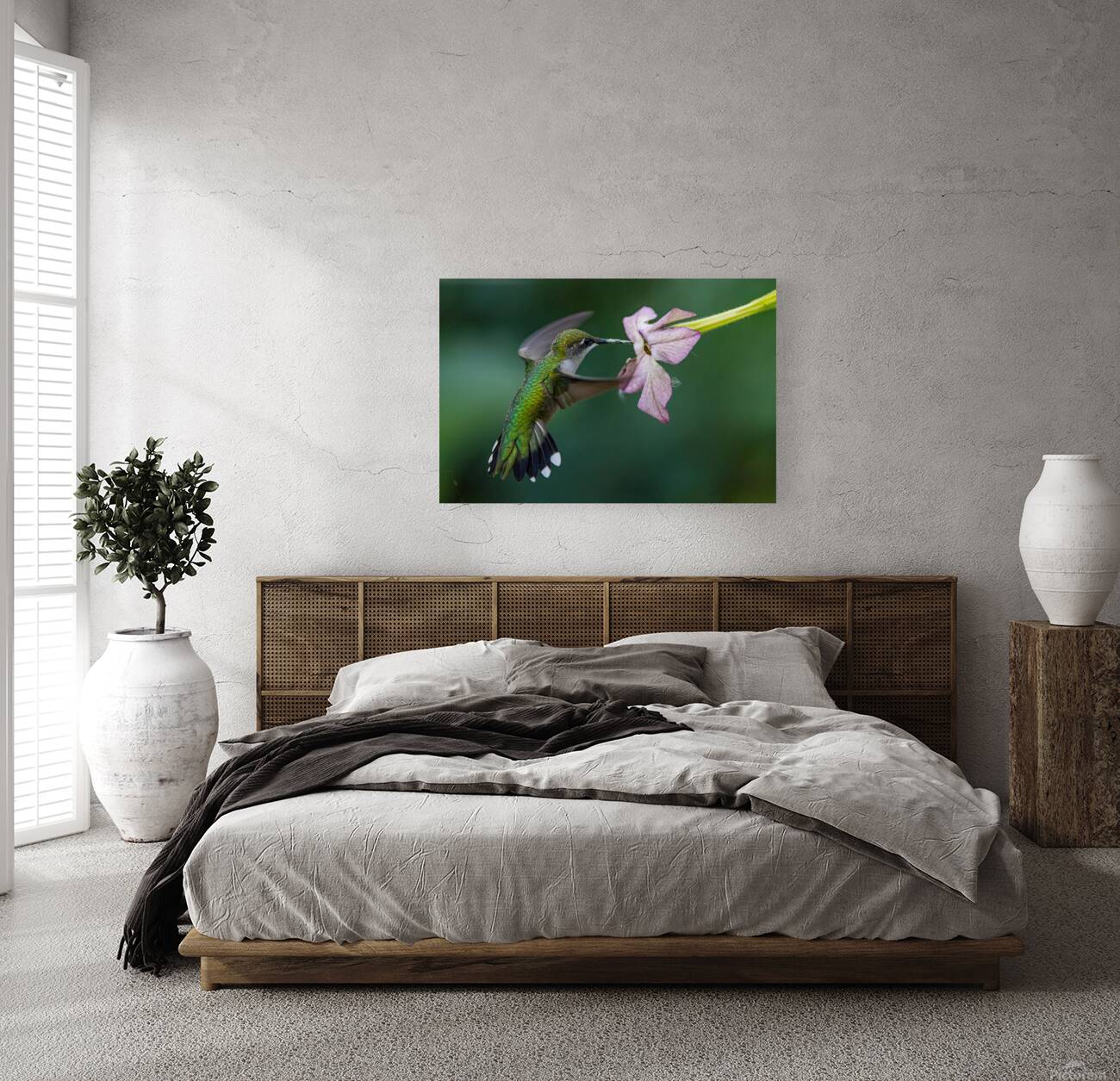 Hummingbird 5 Reproduction