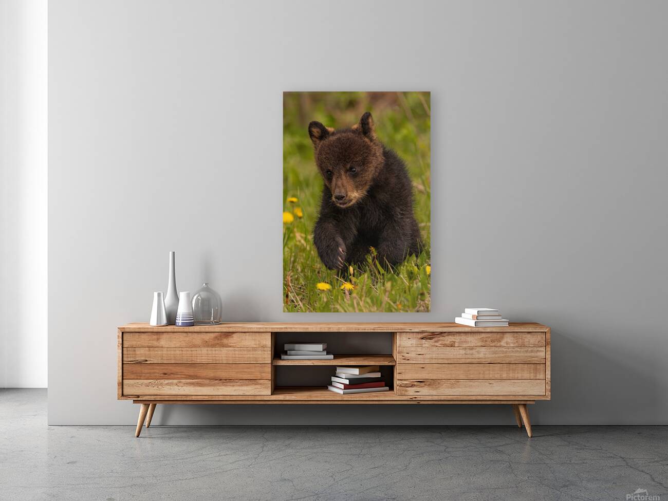 Black Bear Cub Reproduction