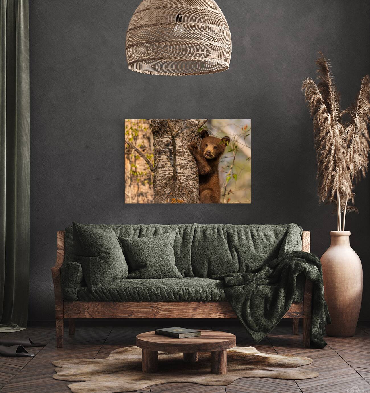 Black Bear Cub 3 Reproduction