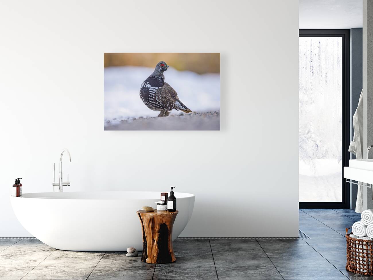 Spruce Grouse Reproduction