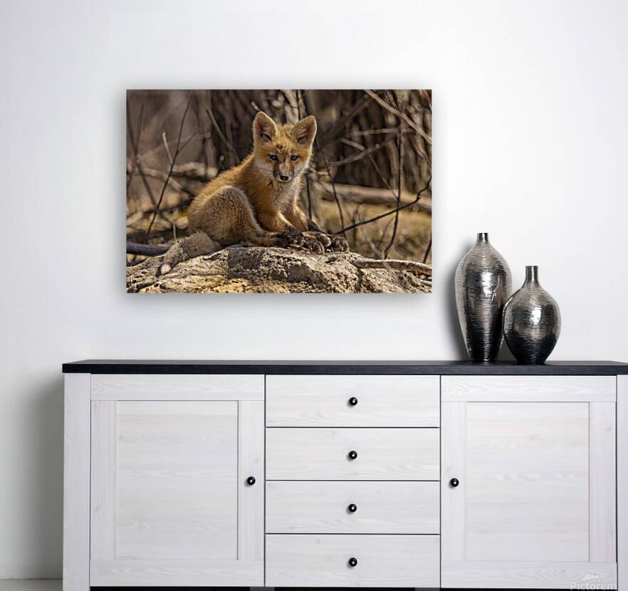 Cute Fox Kit Reproduction