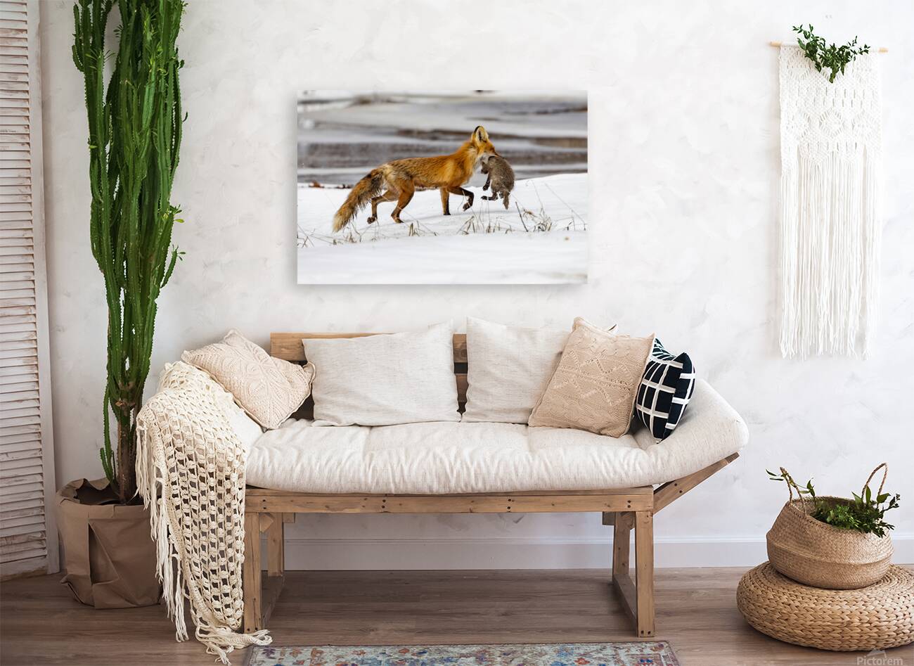 Baby Fox Story Reproduction