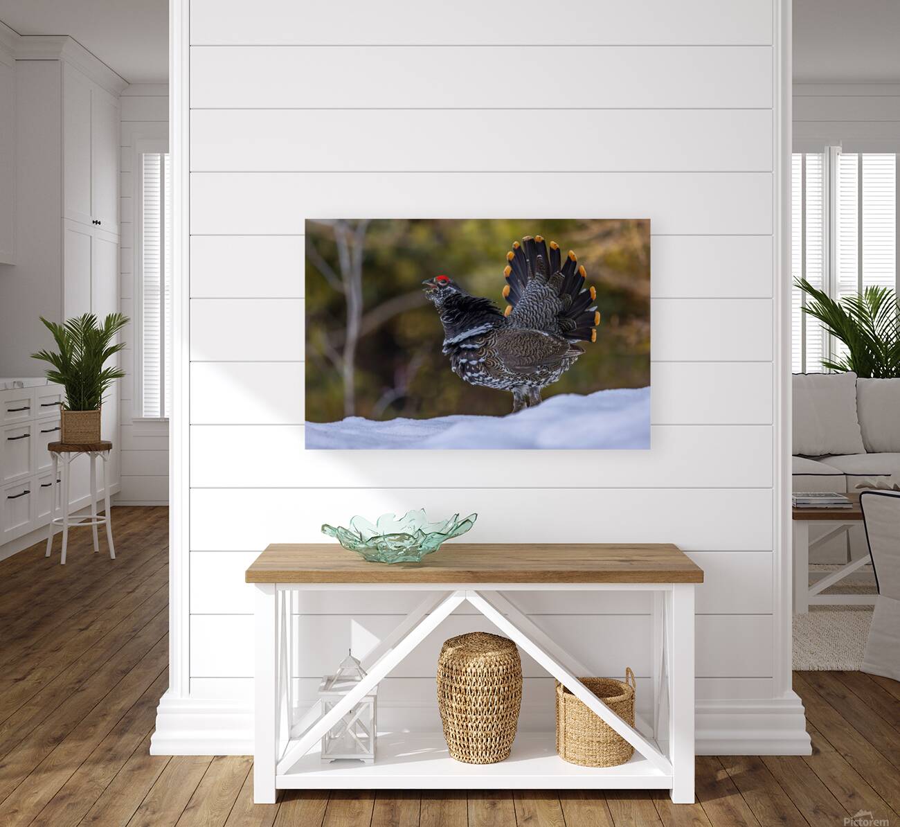 Spruce Grouse 2 Reproduction