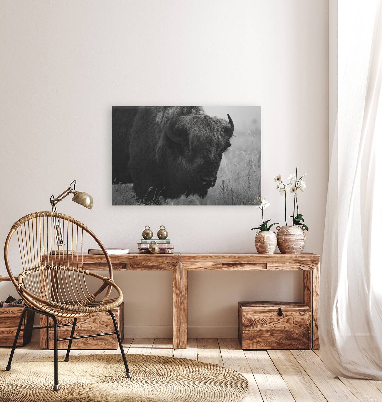 Bison BW Reproduction