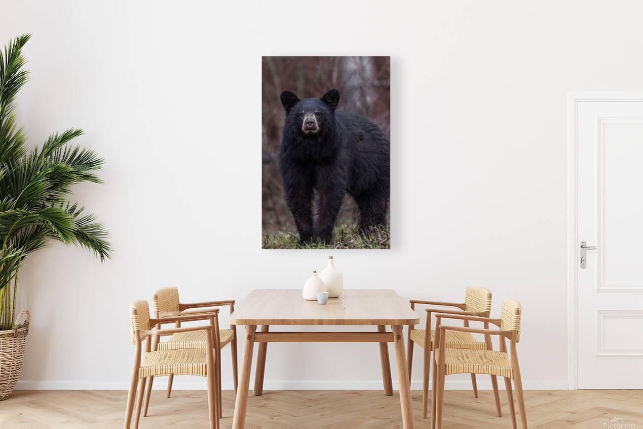 Big Bear Reproduction
