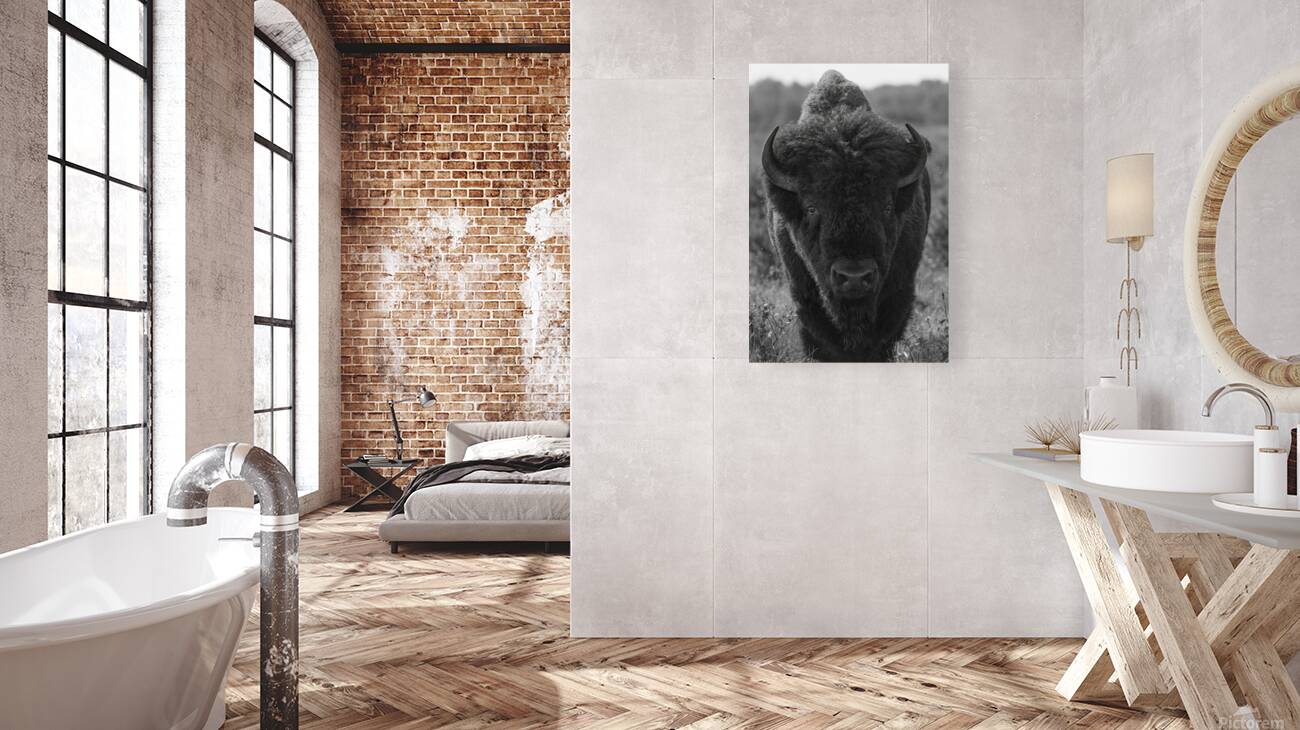 Bison BW 2 Reproduction