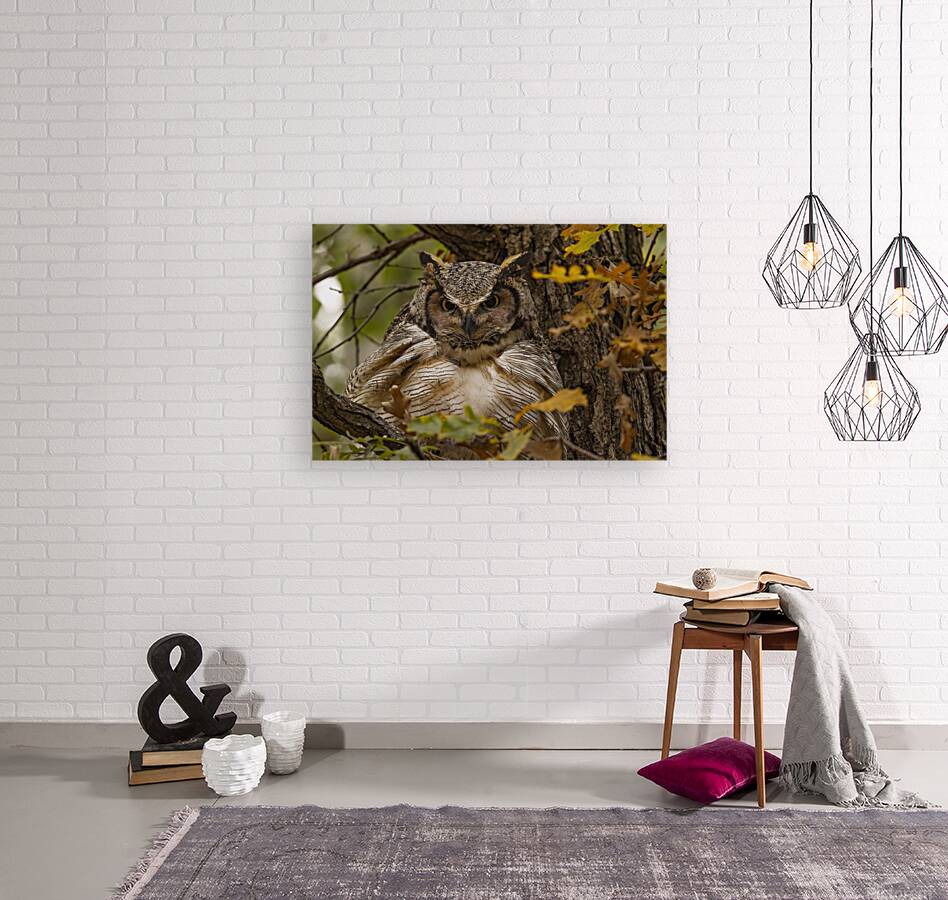 GHO Fall Time Reproduction