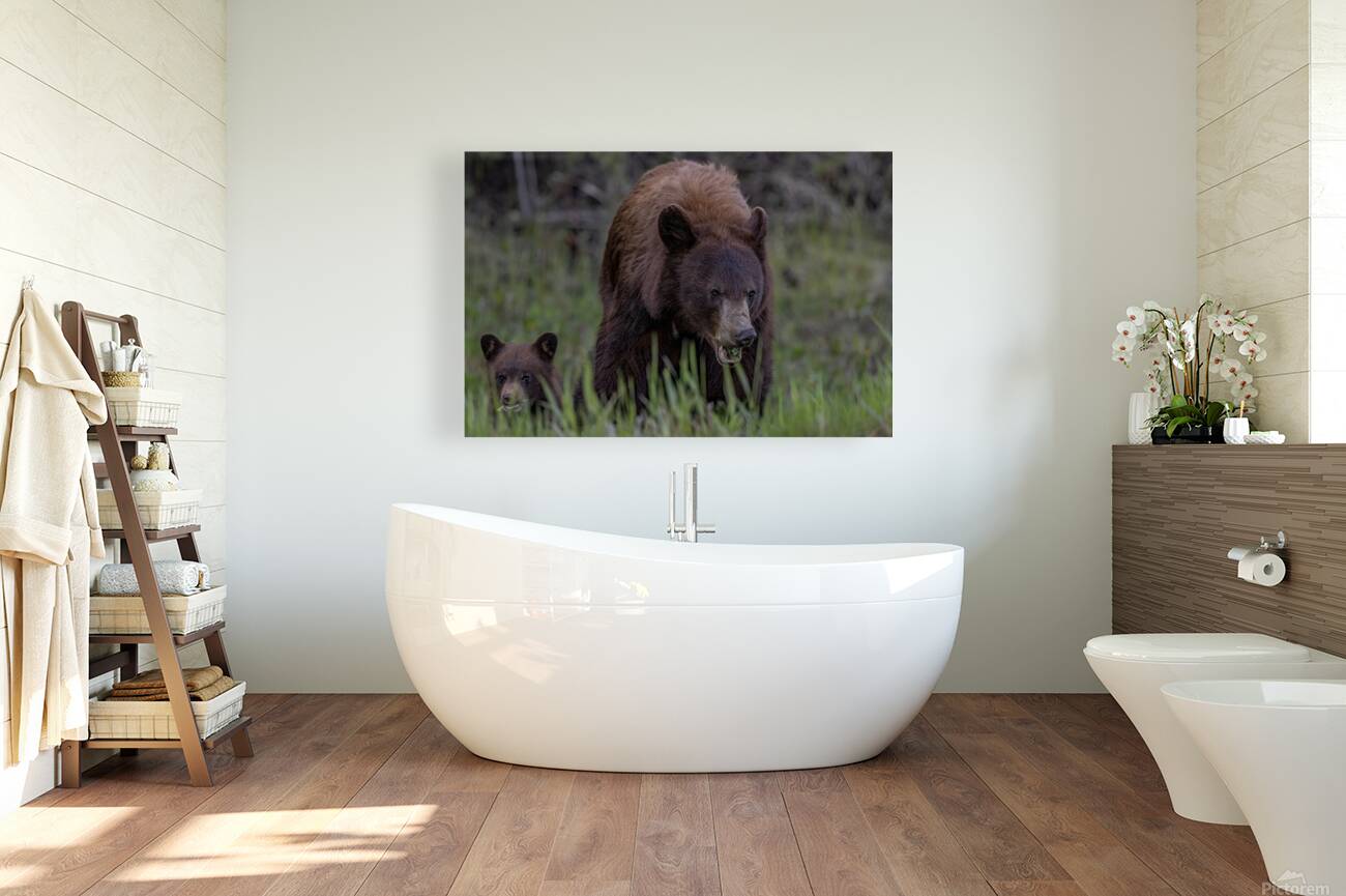 Mom and Cub Reproduction