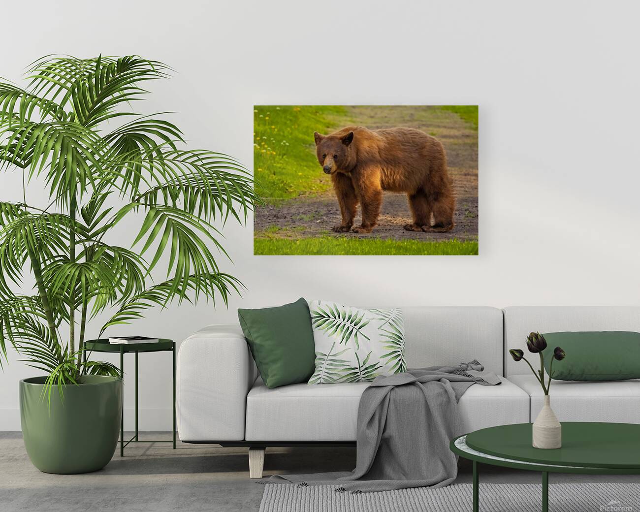 Black Bear 2 Reproduction