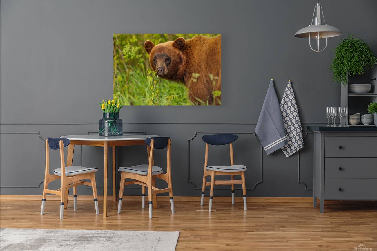 Cool Face Reproduction