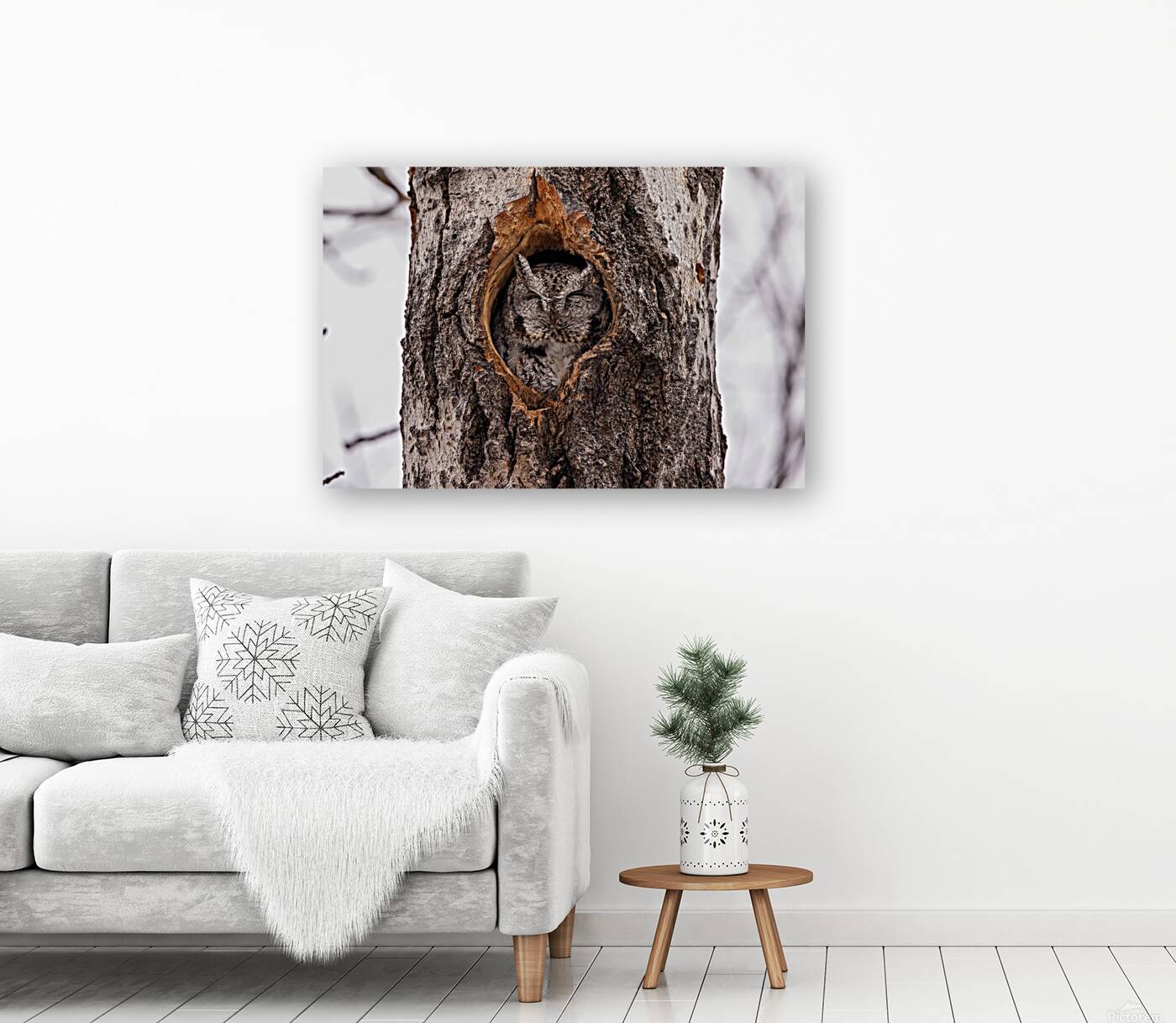 Screech Owl Reproduction