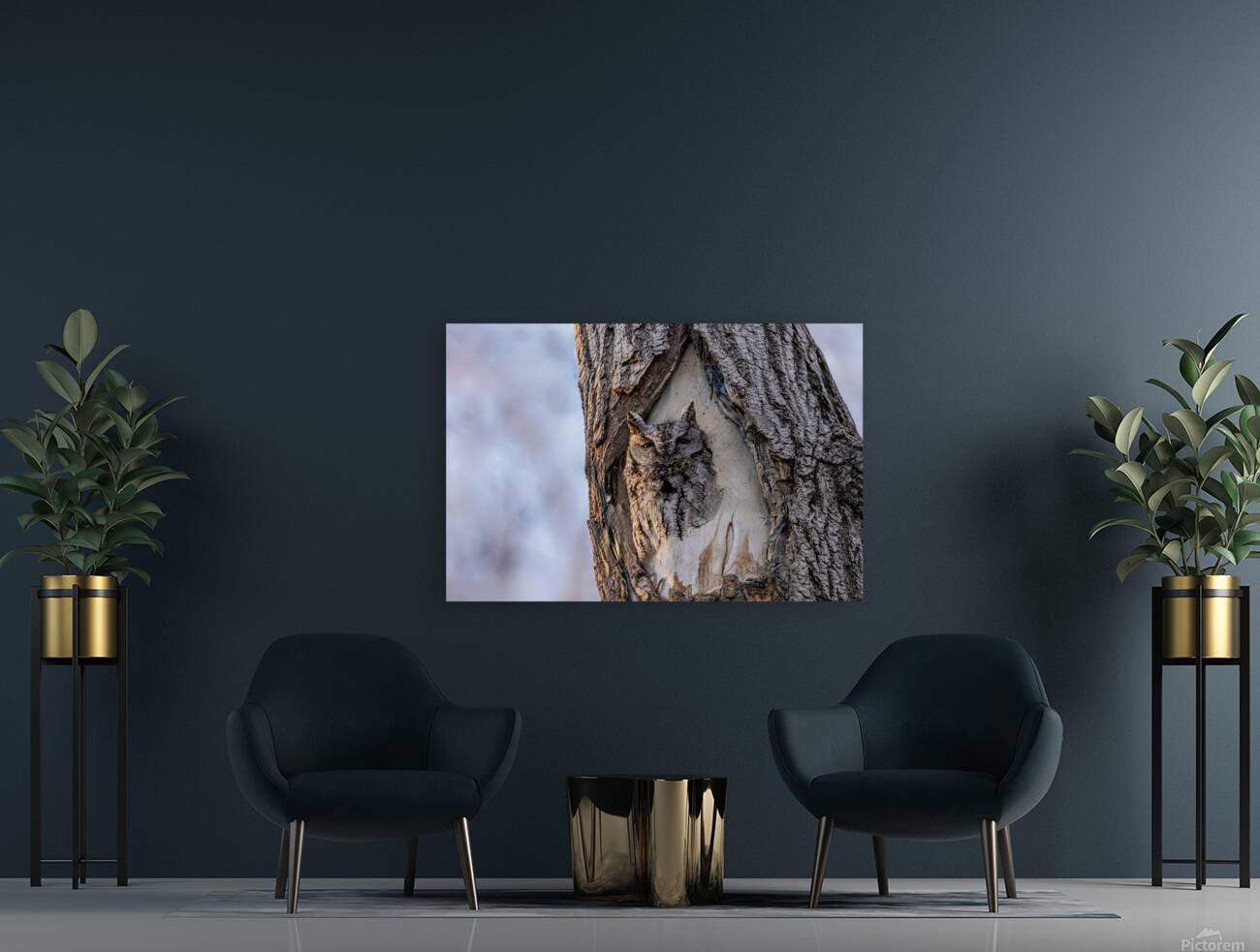 Screech Reproduction