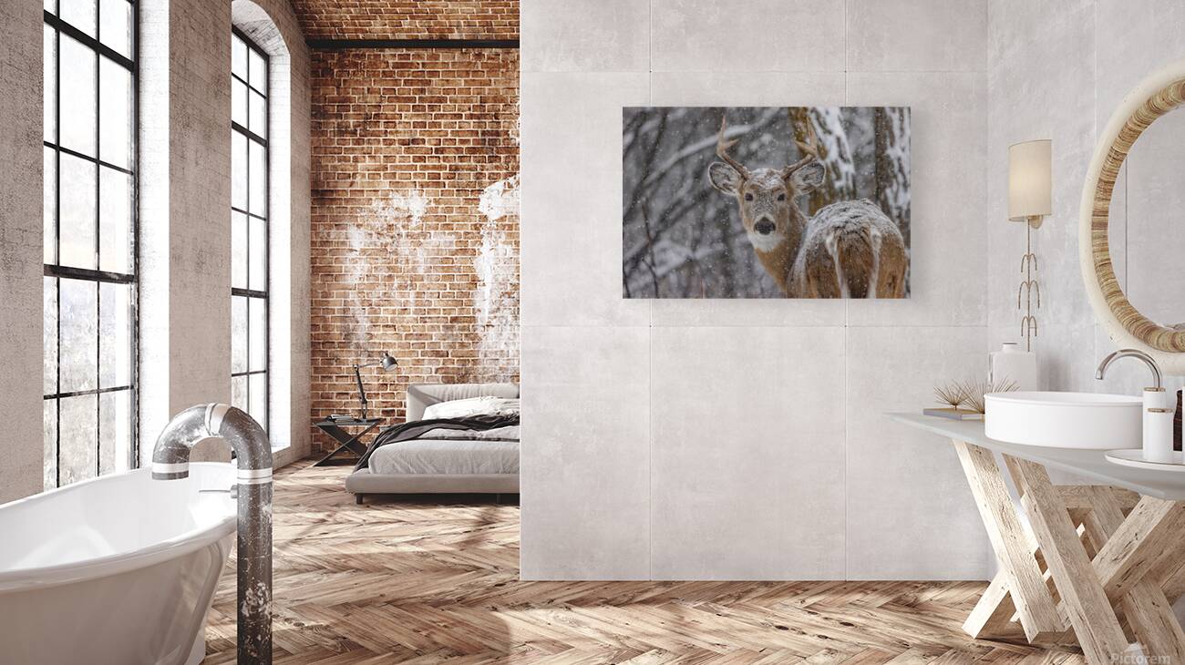 Deer Winter Love Reproduction