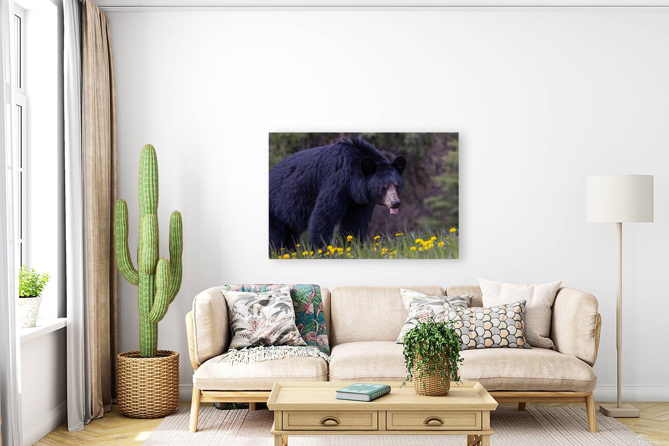 Black Bear 2 Reproduction