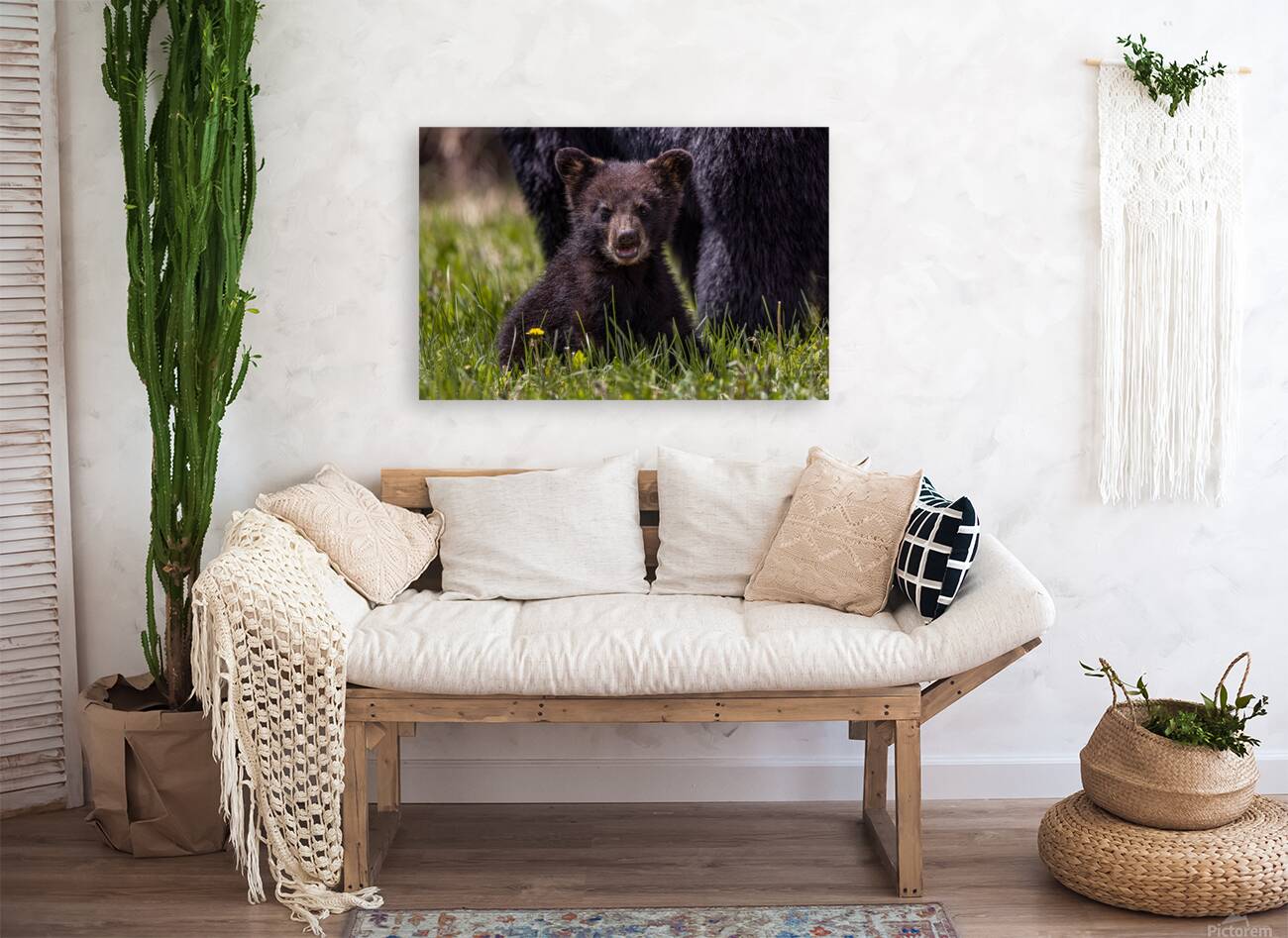 Black Bear Cub 4 Reproduction