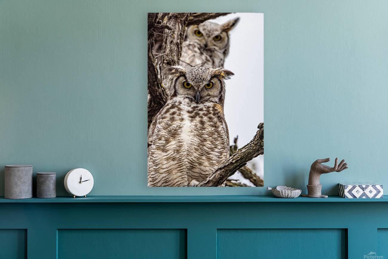 GHO Double Reproduction