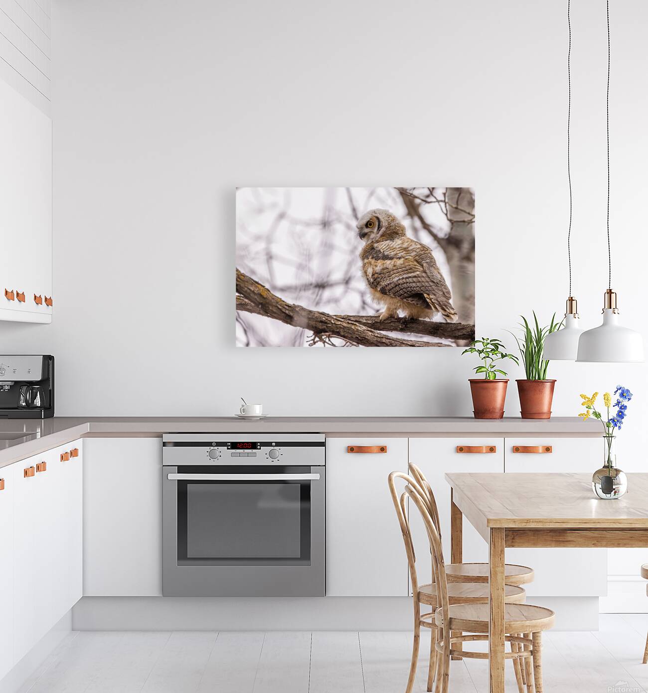 GHOwlet Reproduction