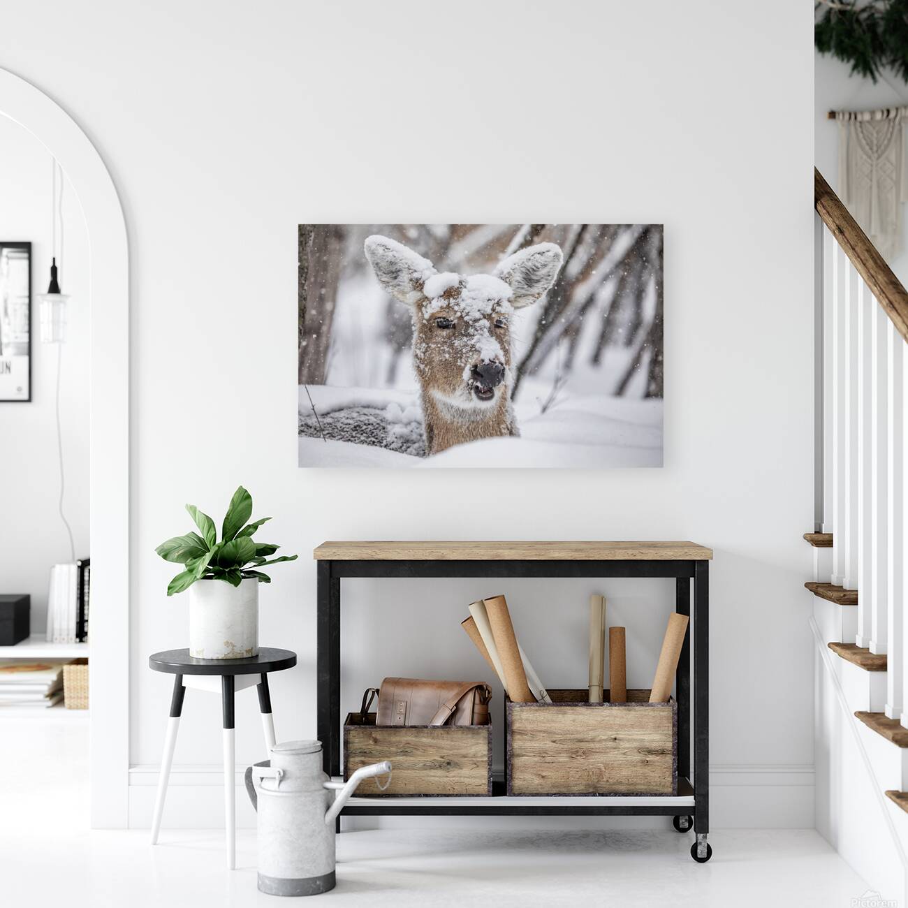 Funny Deer Reproduction