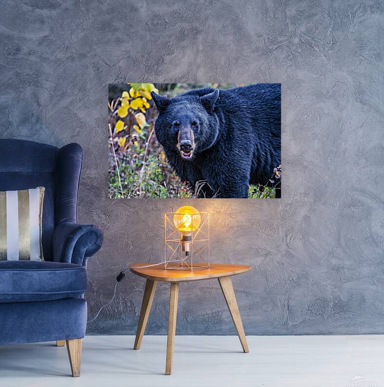 Black Bear Boss Reproduction