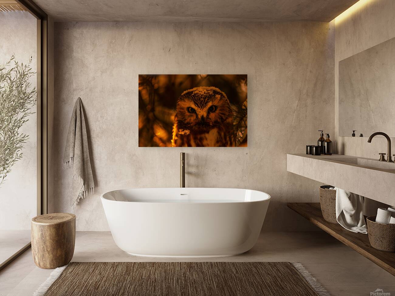 Saw Whet Owl 4 Reproduction