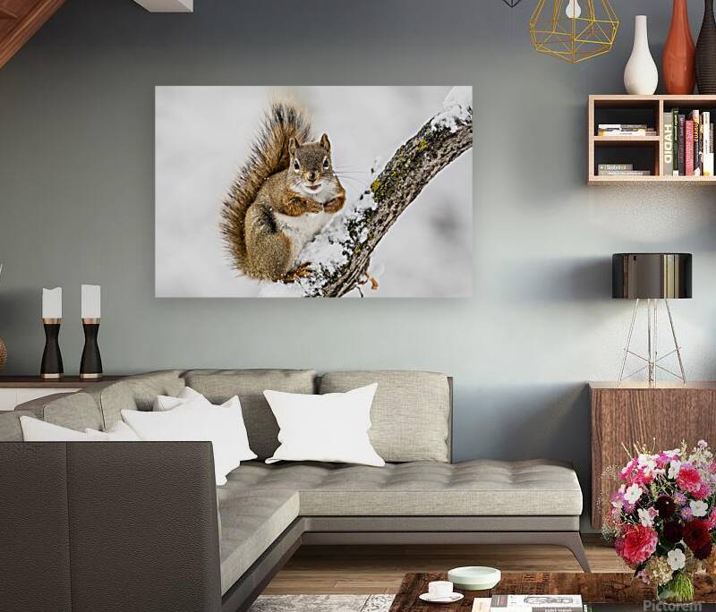 Red Squarel 2 Reproduction