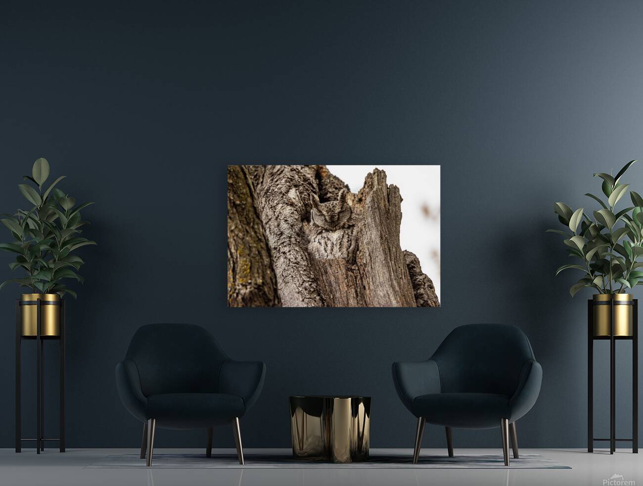 Screech Owl 4 Reproduction