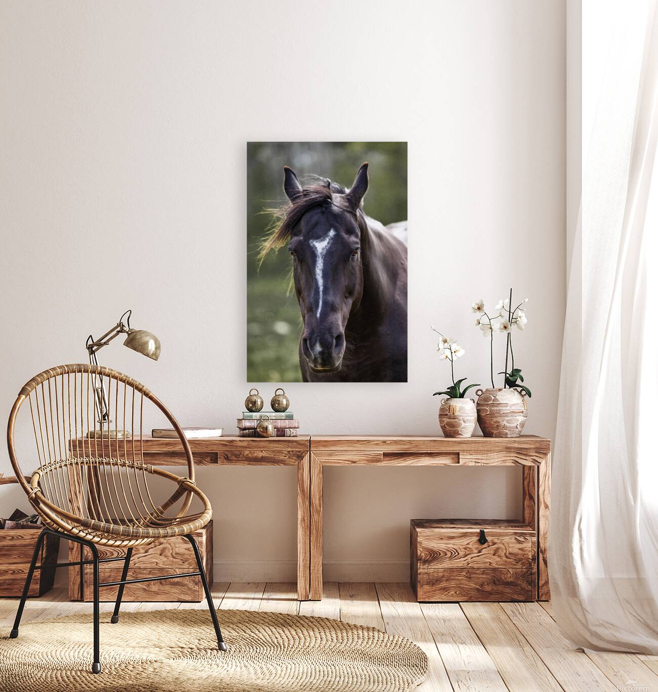 Horse Portrait Reproduction