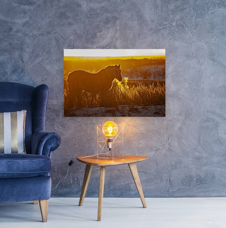 Horse Sunset Reproduction