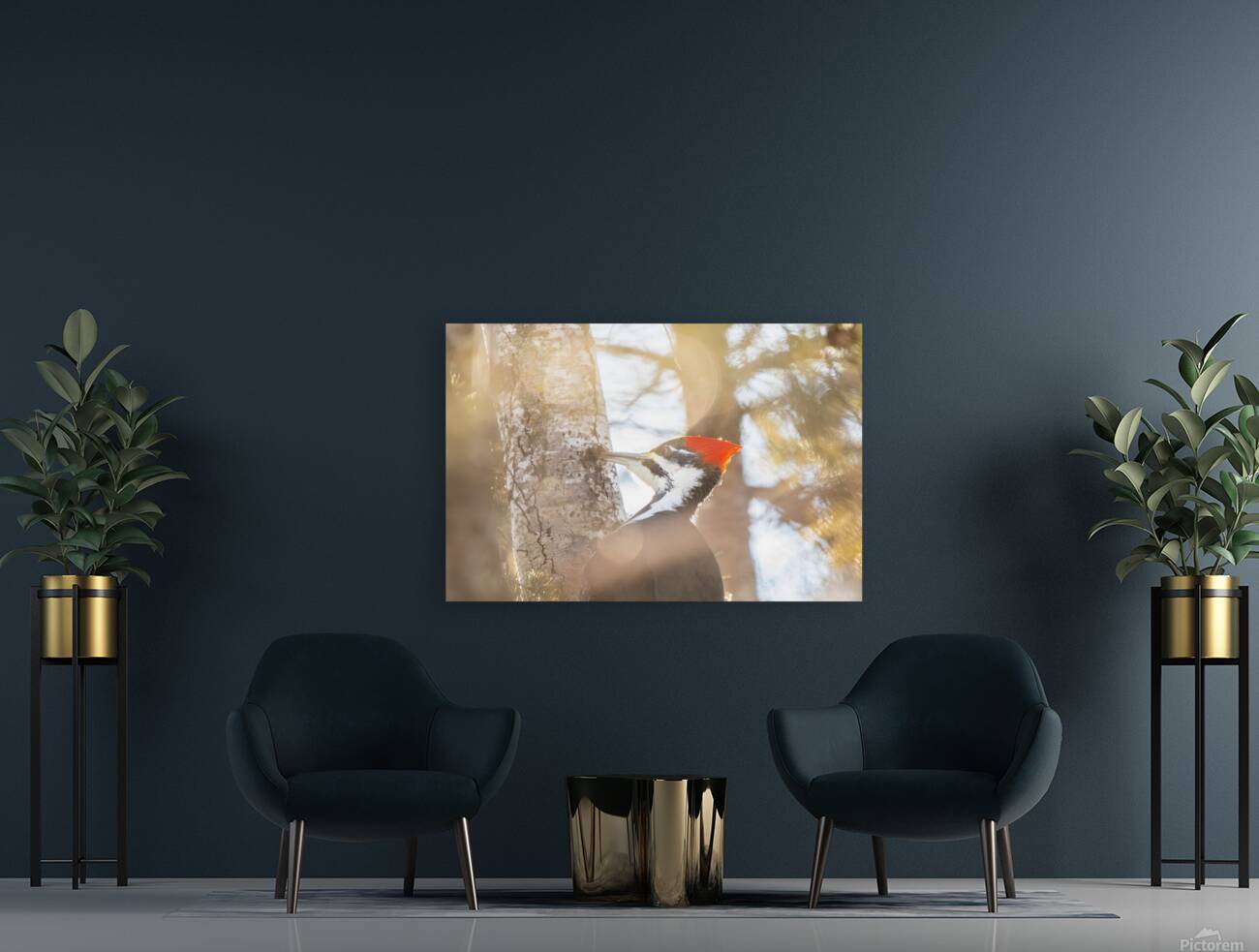 Pileated Woodpecker Reproduction