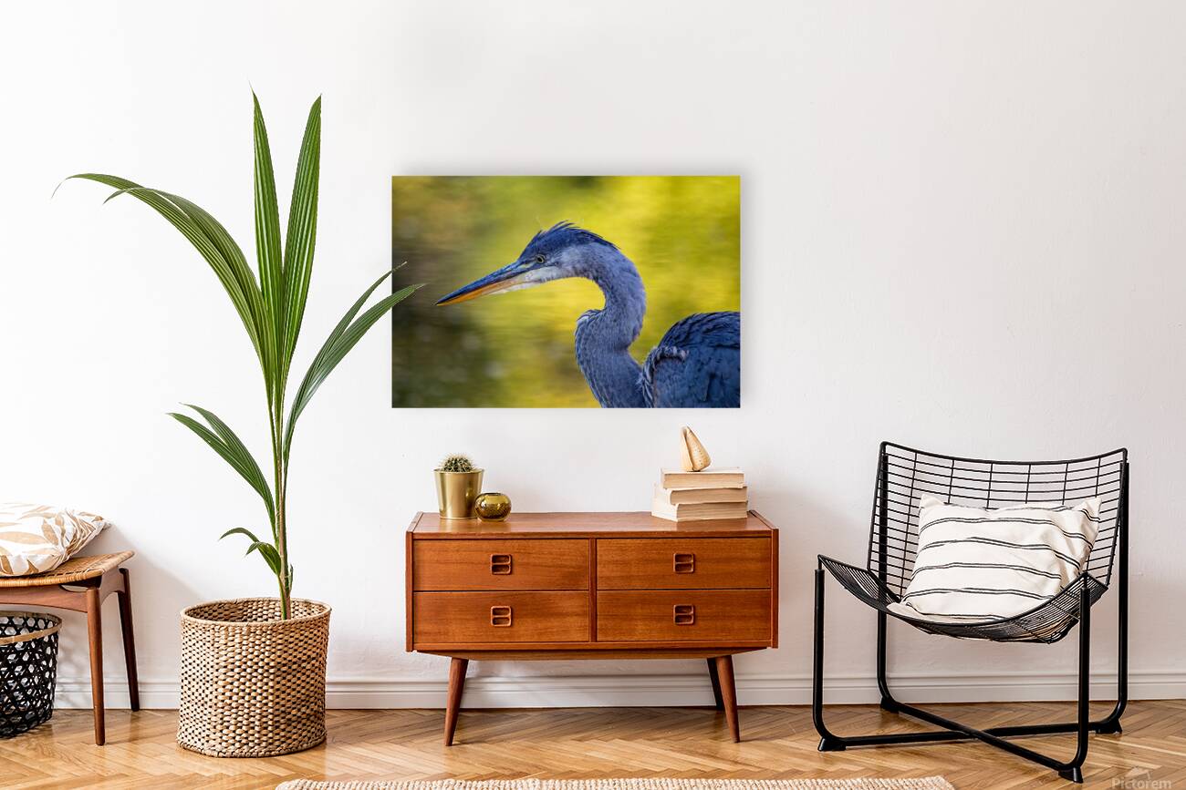 Blue Heron 4 Reproduction