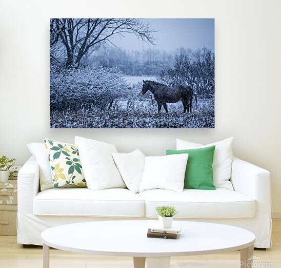 Horse Farm Reproduction