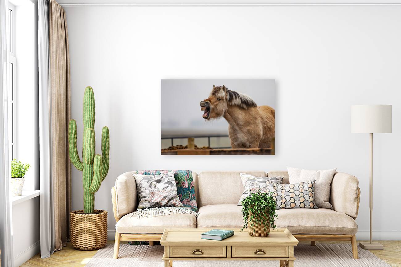 Horse Smile Reproduction