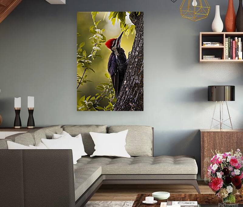 Pileated Woodpecker 2 Reproduction