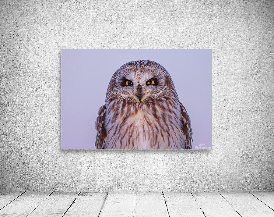 SEO Sunset Wall Preview