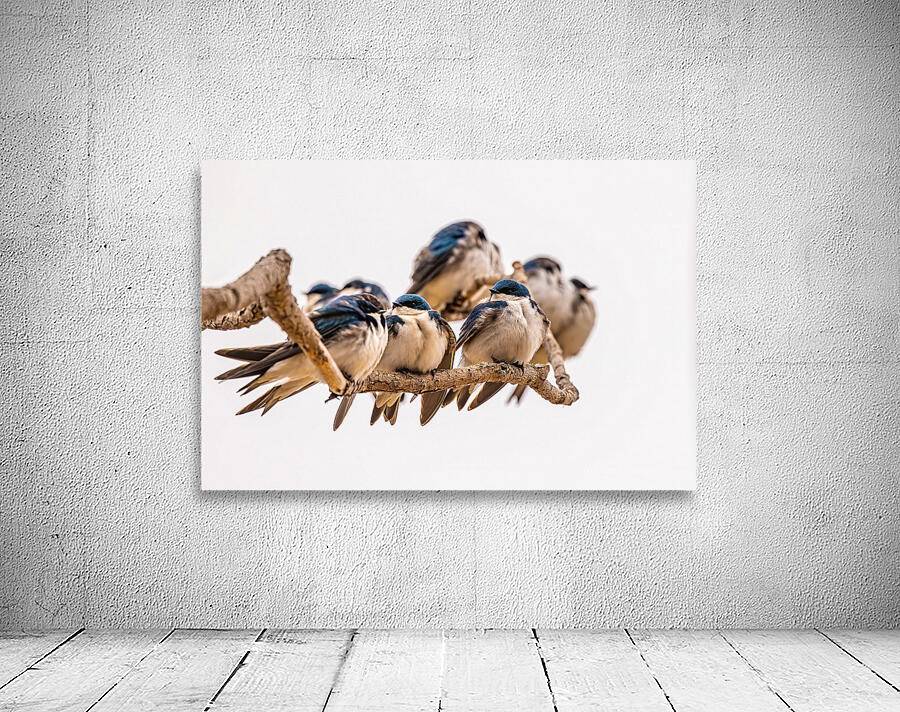 Gathering Wall Preview