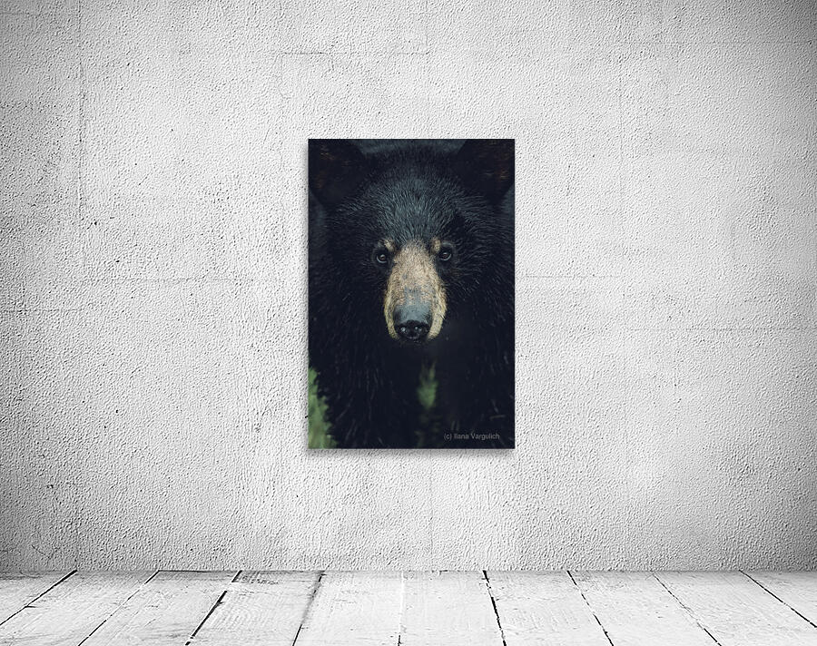 Wild Bear Futuristic Wall Preview