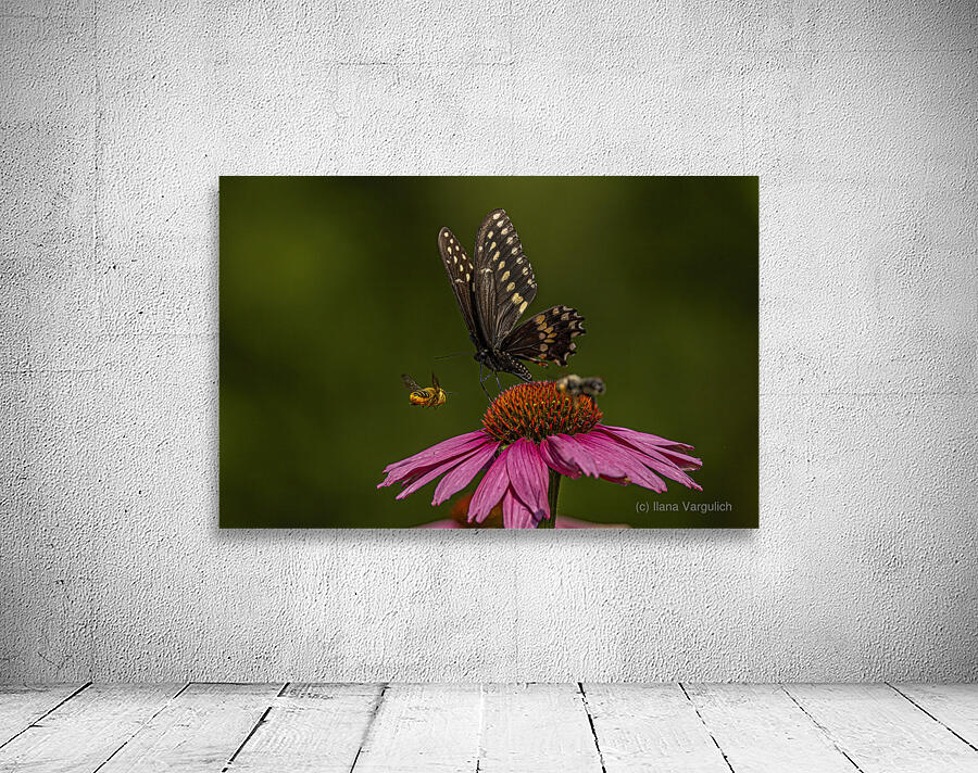 Flower Story Wall Preview