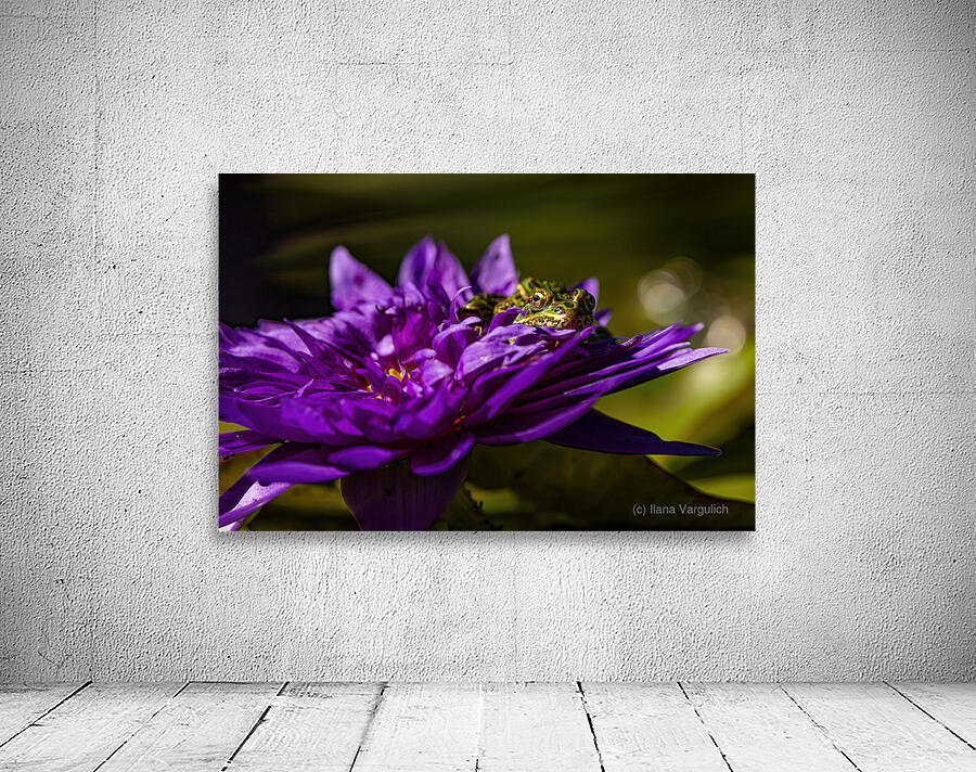 Flower Story 2 Wall Preview