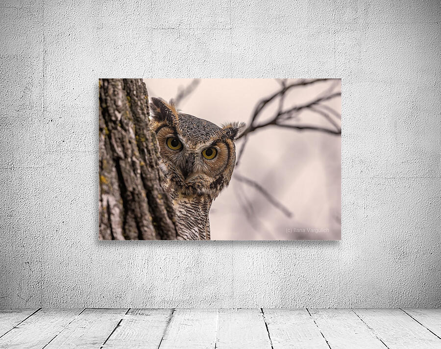 GHO Peekaboo Wall Preview